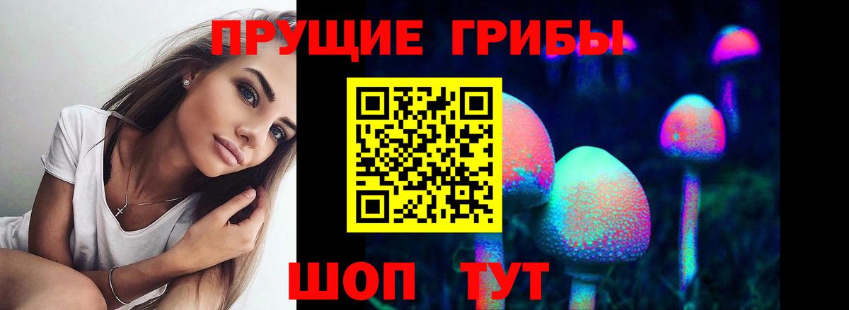 Галлюциногенные грибы Psilocybine cubensis Чебаркуль